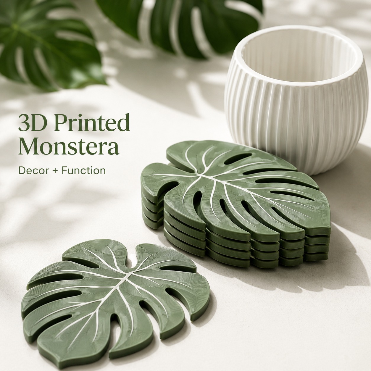 Monstera Plant Coasters 3D Pri - đánh giá và giá Home Office Layout