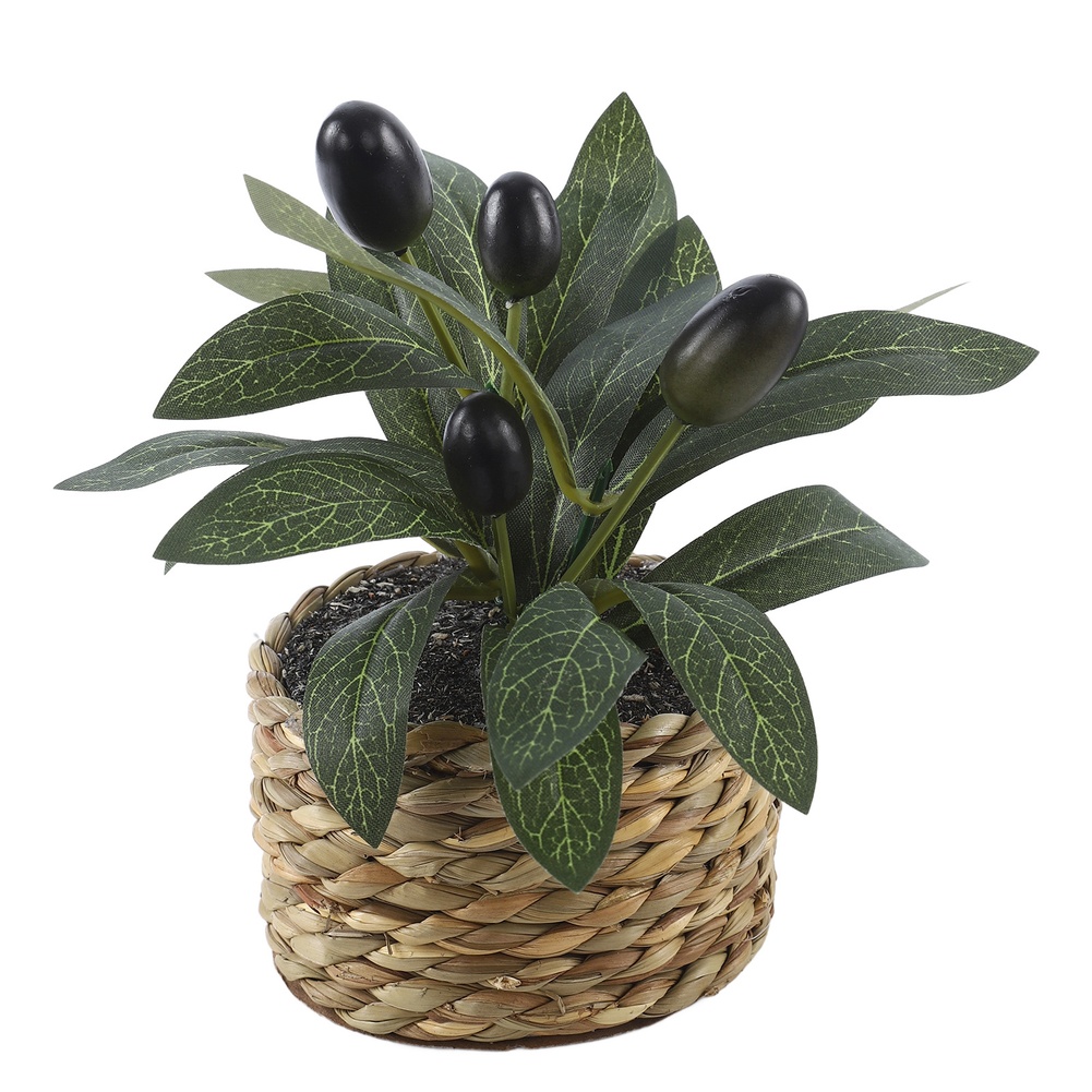 Artificial Plants Pocket Olive - đánh giá và giá Home Office Layout
